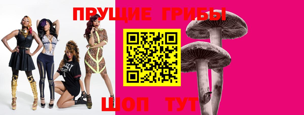 Псилоцибиновые грибы MAGIC MUSHROOMS Гуково